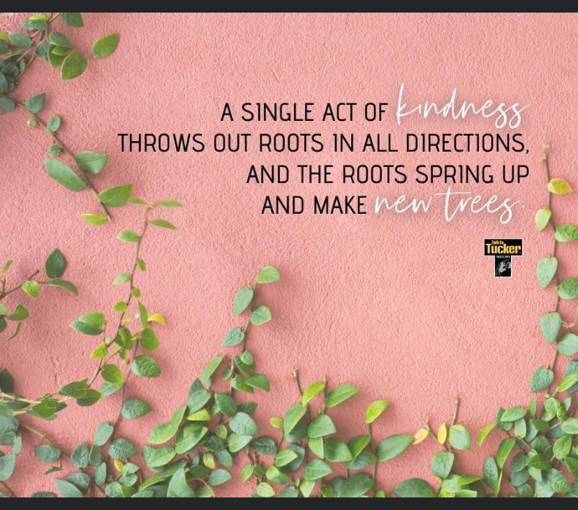 MandyFc's tweet photo. Be kind everyone! 

#mondaymotivation #mondayinspiration #bekind #betheroot #happymonday #makesomeonesday #fctucker #realtor #realestate #realestateagent #tuckeragent #indyrealtor #realtorinindianapolis https://t.co/NZadnn8gxO