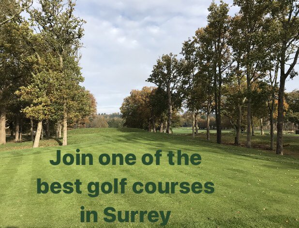 LeatherheadGC's tweet photo. Visit  https://t.co/KNYgzkoBs5  and check out the latest membership packages &amp; benefits #surreygolf #golfatitsbest 

@Surreygolfmag @YourGolfer @golfsouthnews @SurreyGolfUnion @MIKEWJGL @traceybgolf @playgolfgroup @golfnewsmag @EnglandGolf @LadyGolfMag @GolfClubSec https://t.co/cyb8K763u4