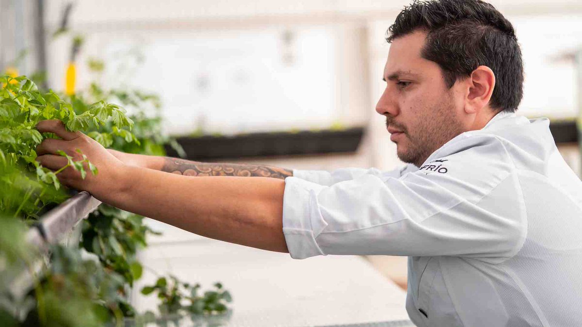 GURMEMalaga's tweet image. Enhorabuena a Diego Gallegos y @SolloRest, ESTRELLA VERDE en la #GuíaMichelin2021. @GuiaMichelin_ES