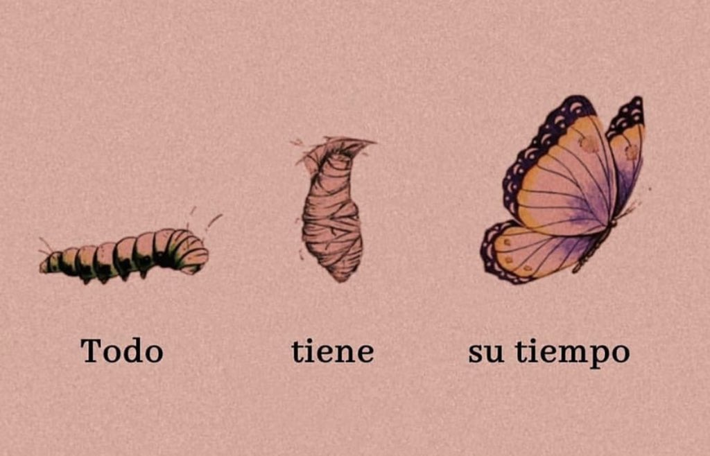 ale (@alejandraaaav) on Twitter photo 