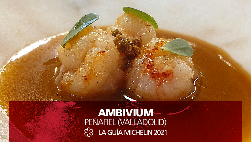 GuiaMichelin_ES's tweet photo. Novedad 1 #EstrellasMichelin #GuiaMichelin2021: @RteAmbivium, en #Peñafiel. ¡Diferente! De la mano del joven chef Cristóbal Muñoz, bocados para maridar con los vinos de la bodega que acoge al restaurante. Sabores nítidos y texturas delicadas. #MICHELINSTAR21 #guiamichelinespt https://t.co/acCwpsfE2w