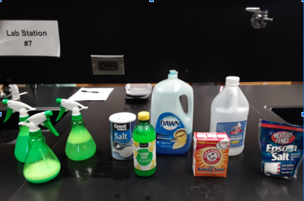 Over the last couple days #LSAgSci Ss researched, hypothesized, &amp; developed a #homemade weed killer. For 7 days, they will observe &amp; compare to Roundup (glyphosate). Are theirs more sustainable, environmentally-friendly, cost effective, etc.? #InquiryLearning