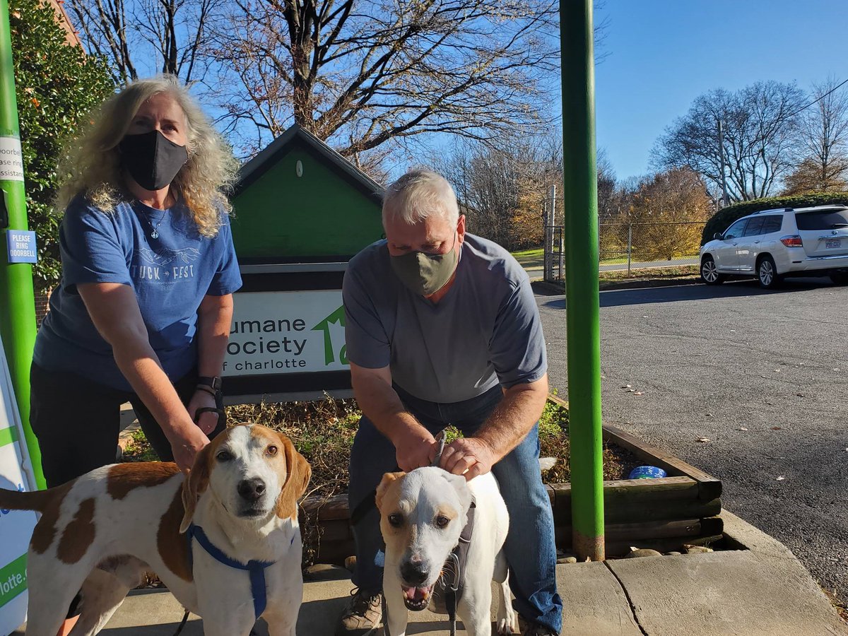 MattKislowski's tweet image. When @Perficient gave each of our 4,500+ employees $100 with instructions to do something to inspire kindness, we had no idea what an impact we could make. With help from @HumaneCharlotte, 50 Scent and AJ are now part of the Perficient family! #PRFTDifference #adopt