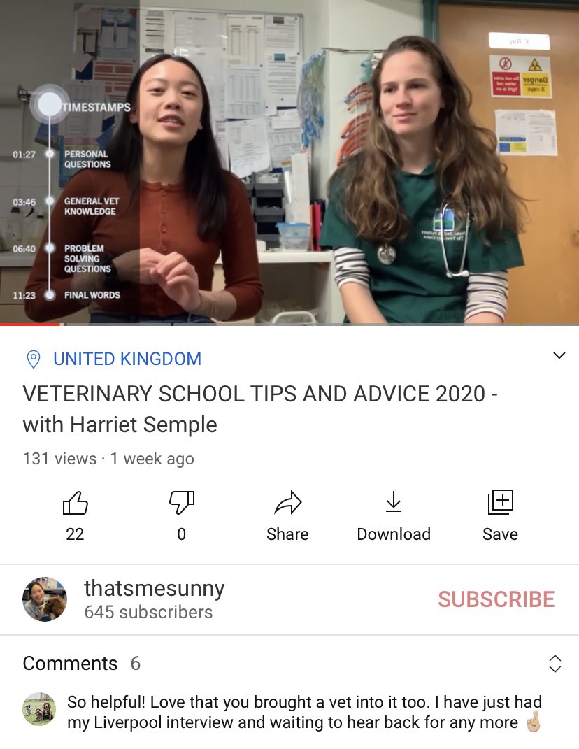After  #PTYA: Now at 645 subs after 4 weeks- learnt the HIVE structure - done some bird singing and coal mining to get tons of ideas - (sort of) identified my target audience = UK vet students!- spend 4 hours editing instead - I upload every week now- have circle friends!