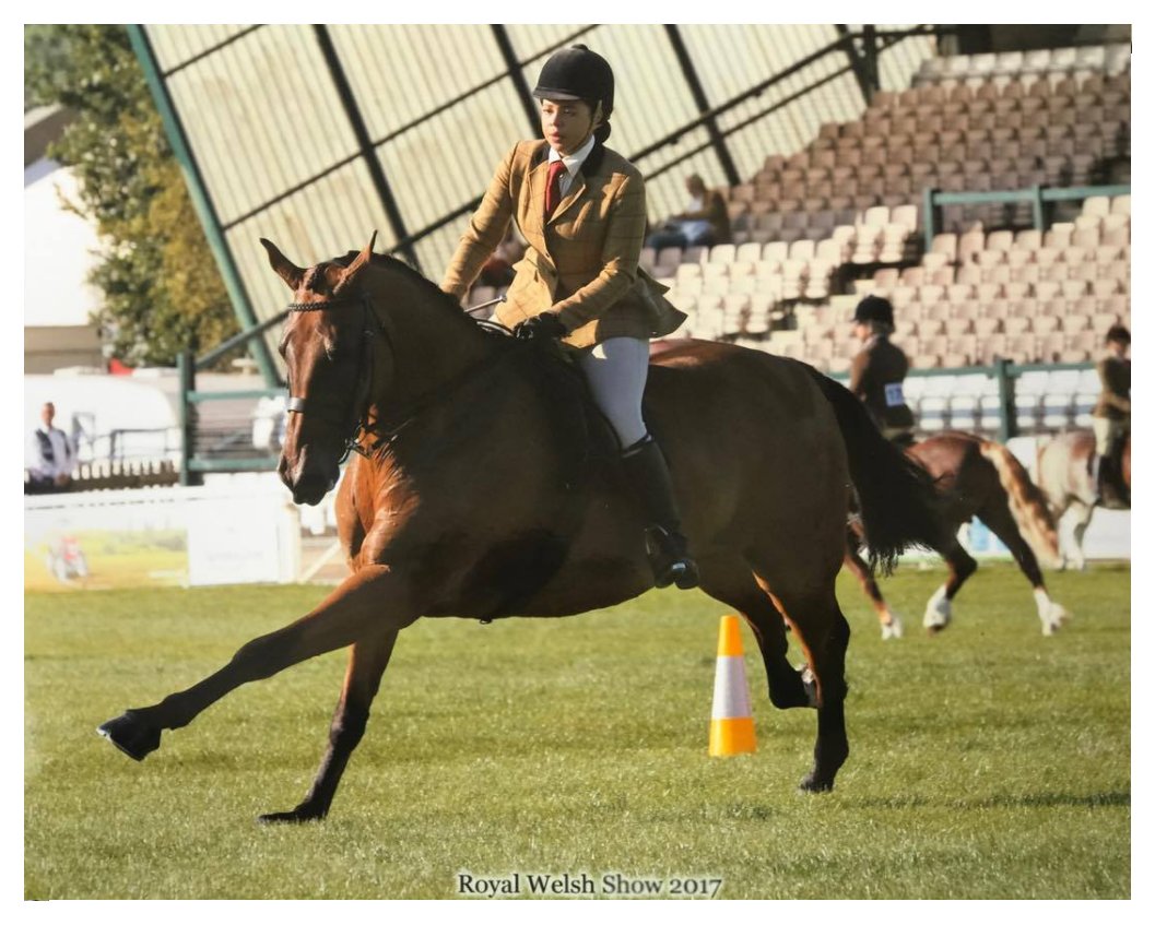 ComfortGutWorld's tweet photo. #ComfortGut Pro offers an exceptional and holistic approach to equine nutrition using a unique, scientifically selected blend of 8 seaweeds and helping to maintain healthy gastric acid levels and better utilisation of feed #thedressagehour #equestrianblogger https://t.co/peRDMuDoWO
