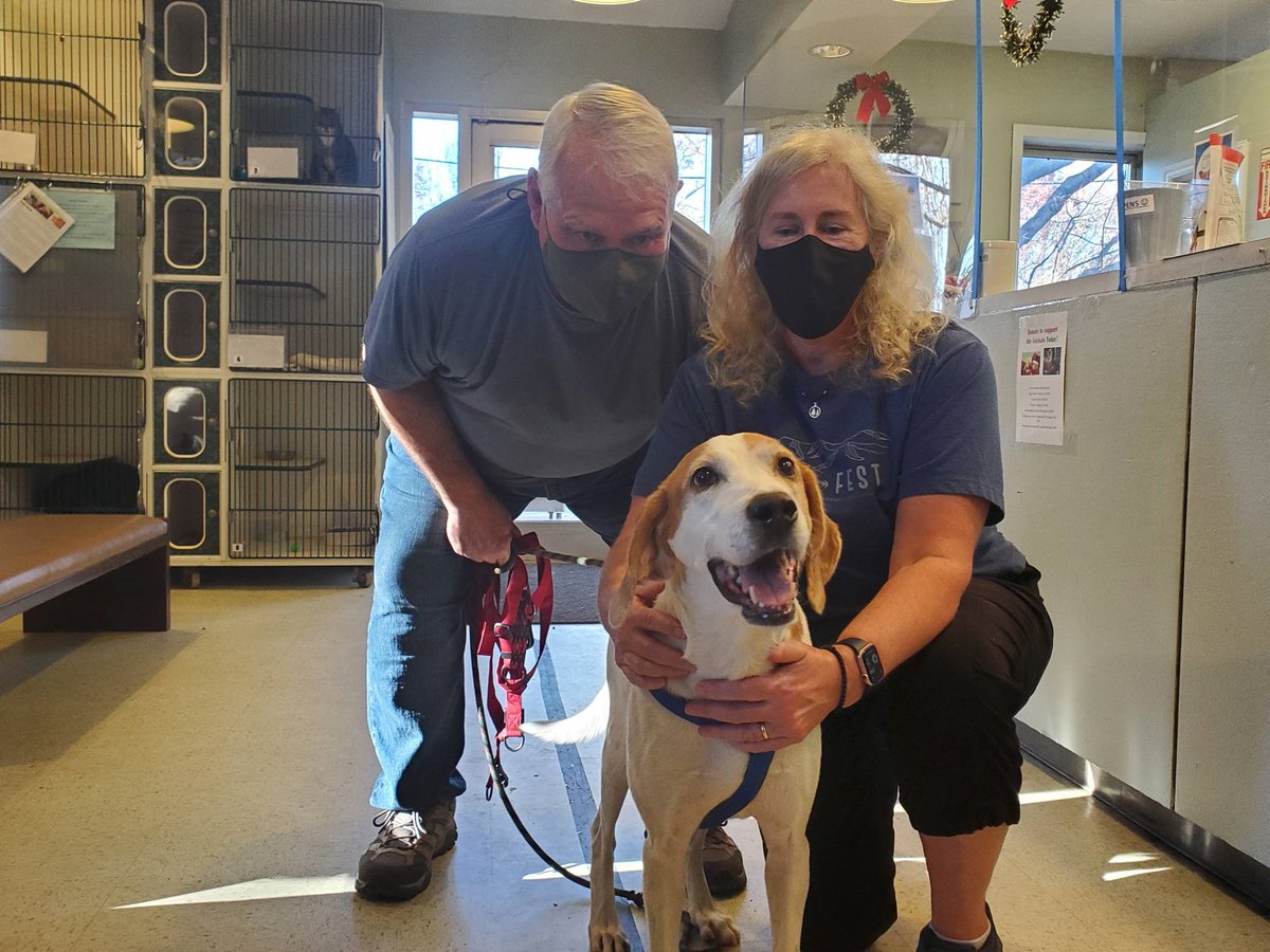 MattKislowski's tweet image. I have great news-not only was the pet I sponsored at @humanecharlotte adopted over the weekend, but his new family PAID IT FORWARD to sponsor the adoption of another dog! Thank you, @Perficient! More on AJ here: humanesocietyofcharlotte.org/adoption/adopt… #prftdifference #charlotte