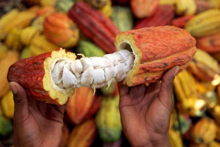 Disfruta del cacao y olvida sus falsos mitos buff.ly/330jRX8