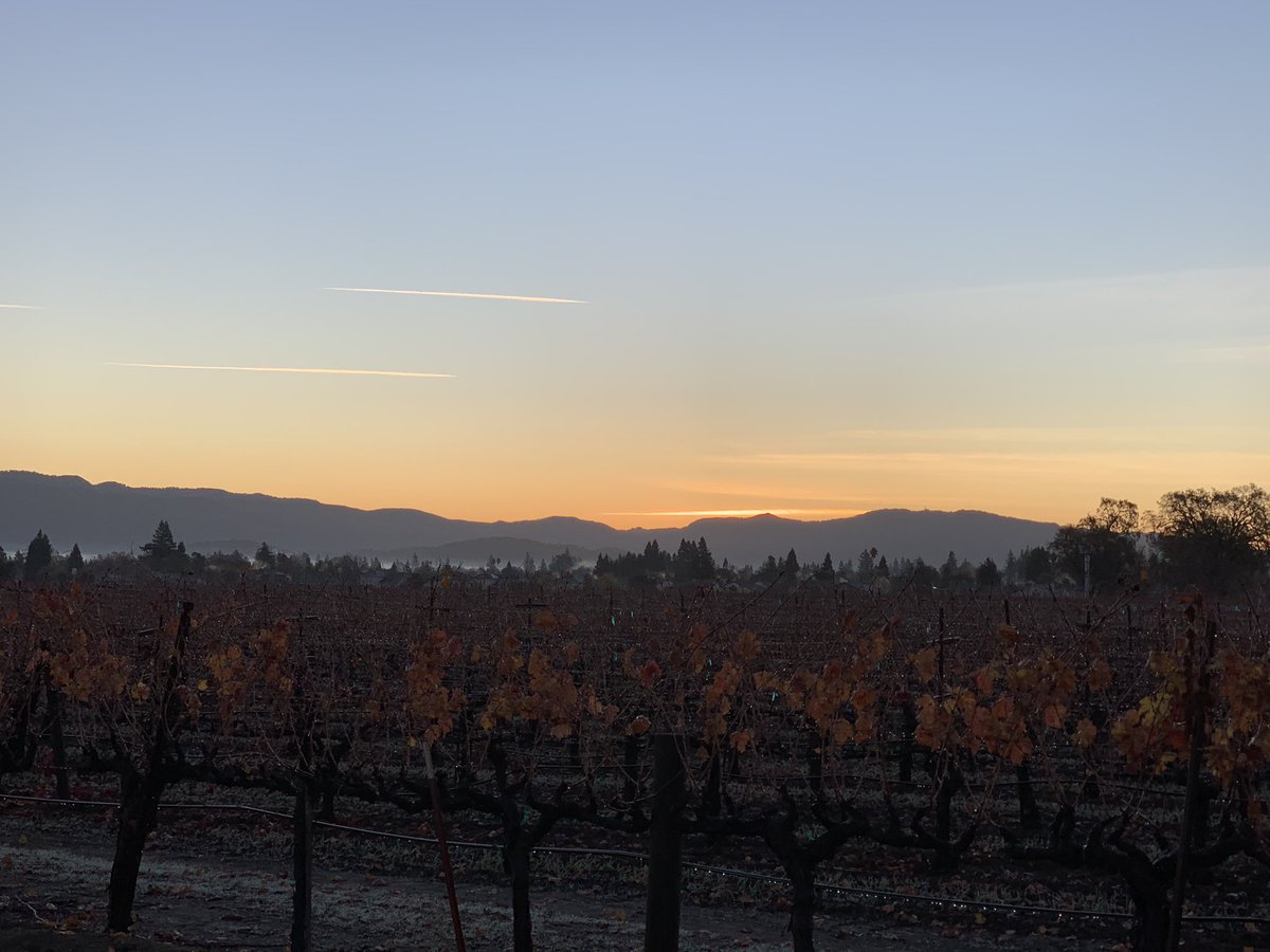 SKK_actor's tweet photo. Took a brisk 37° early morning walk-the sun coming up, vineyards still have beautiful colors &amp; the raindrops are strung on wires like Christmas lights. #grateful to live in the beautiful #napavalley #findbeautyinsmallthings #itsalmostwinter #yayforexercise #Godsbeautifulcreation https://t.co/4dvTRuGHk8