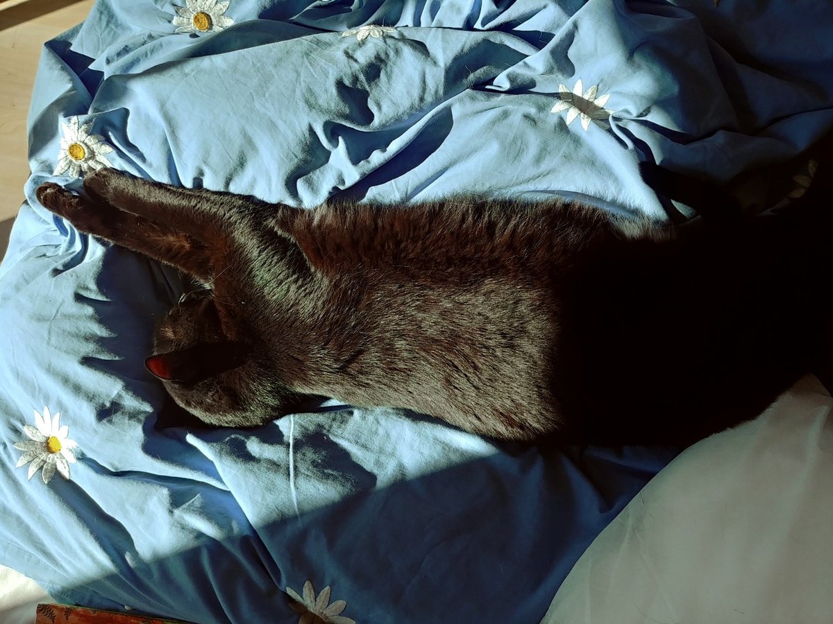 Dale Mayer tweet media