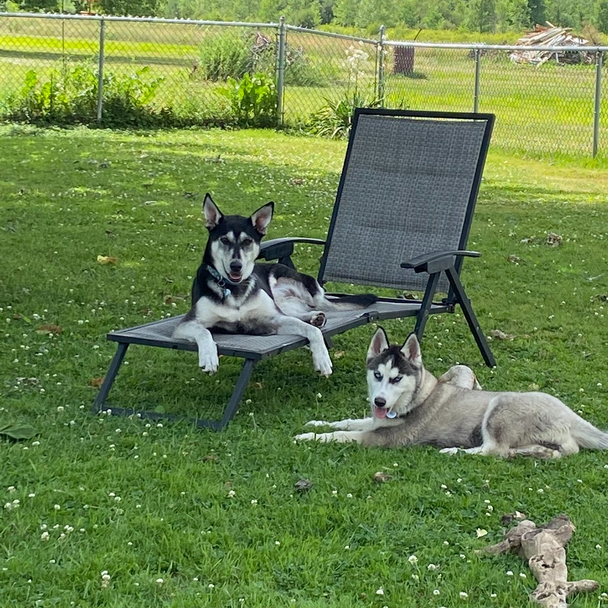 Tip 5. Science is amazing, but it doesn’t have to be your whole life. I’m most  #productive when I take  #breaks. Go walk your  #dog, read that  #book, watch bad  #TV, or plan a post-covid  #trip. Your  #science will be there when you get back!  #ecrchat  #phdchat  #WorkLifeBalance