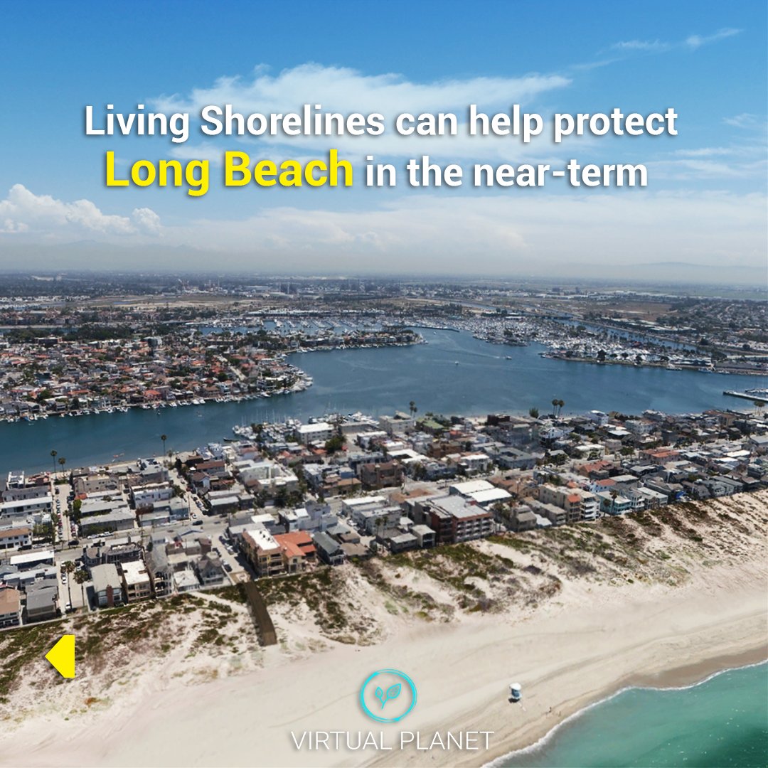 Virtual Planet Technologies LLC tweet media