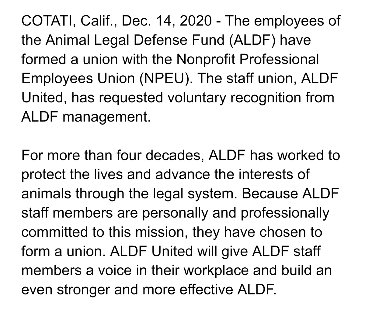 ALDFUnited's tweet photo. Today, @ALDFUnited asked @ALDF management to voluntarily recognize our union w/@NonprofitUnion. We are eager to meet them at the bargaining table to ensure that we form a more effective organization that empowers us to do our best work for the animals. https://t.co/8Uz9vvkF2P https://t.co/rVZzHPwuoN