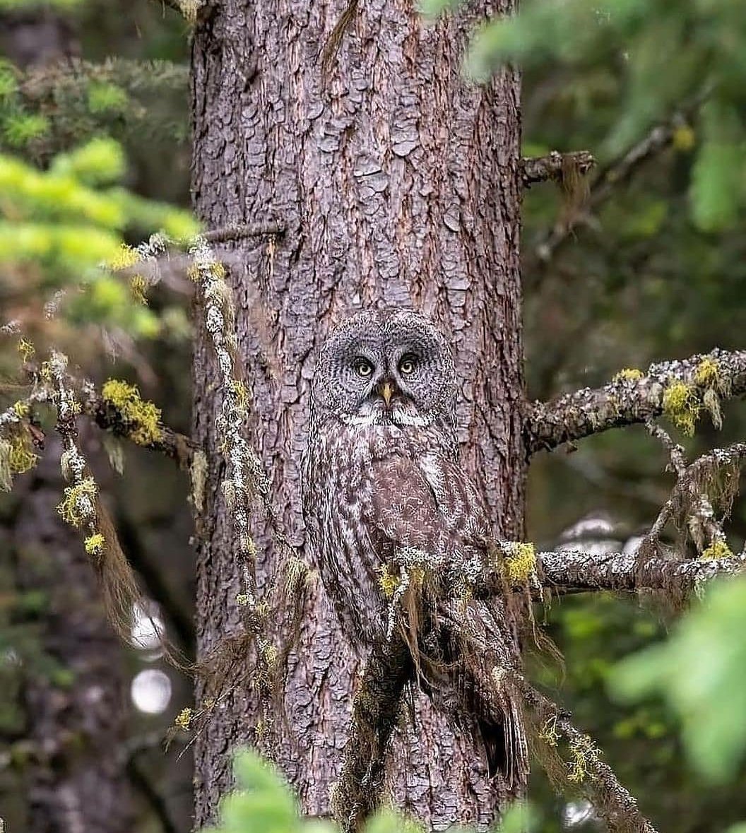 Jasmine Archer (jasminesarcher) Twitter