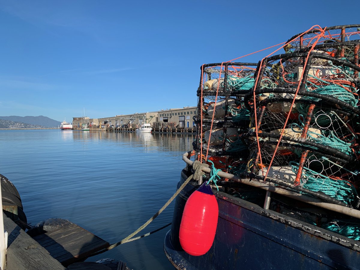 ScomasSF tweet media