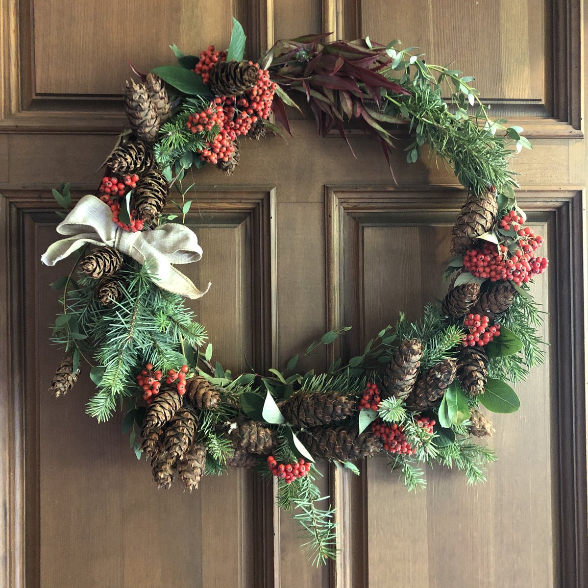 ferrylines's tweet image. 