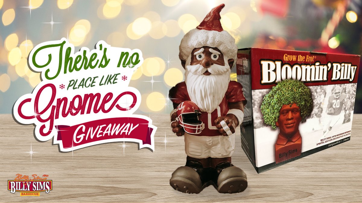 RealBillySims's tweet photo. GIVEAWAY. Next 12 days, we're giving away a 
#BillySims gnome &amp; chia pet each day!
.
RULES:
1) FOLLOW page
2) LIKE &amp; RT post
.
1 winner a day. Make sure privacy settings are public or else we can't see your entry #BillySimsBBQ #BillySims https://t.co/U1A9Jb9XLE