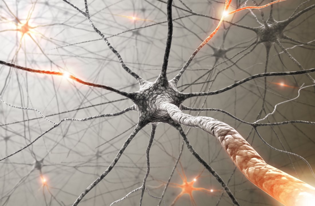 Exercise.But before you say “oh I already know this” and dip out, do 10 push-ups & come back to finish it We know what it does for your body:Gets you stronger, leaner, faster, etc.But what about your brain? And why should you care about it?