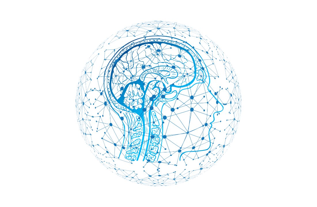 But lets get more specific.There are 2 main regions of the brain that exercise impacts:-Hippocampus-Prefrontal CortexLet’s start with the Hippocampus.