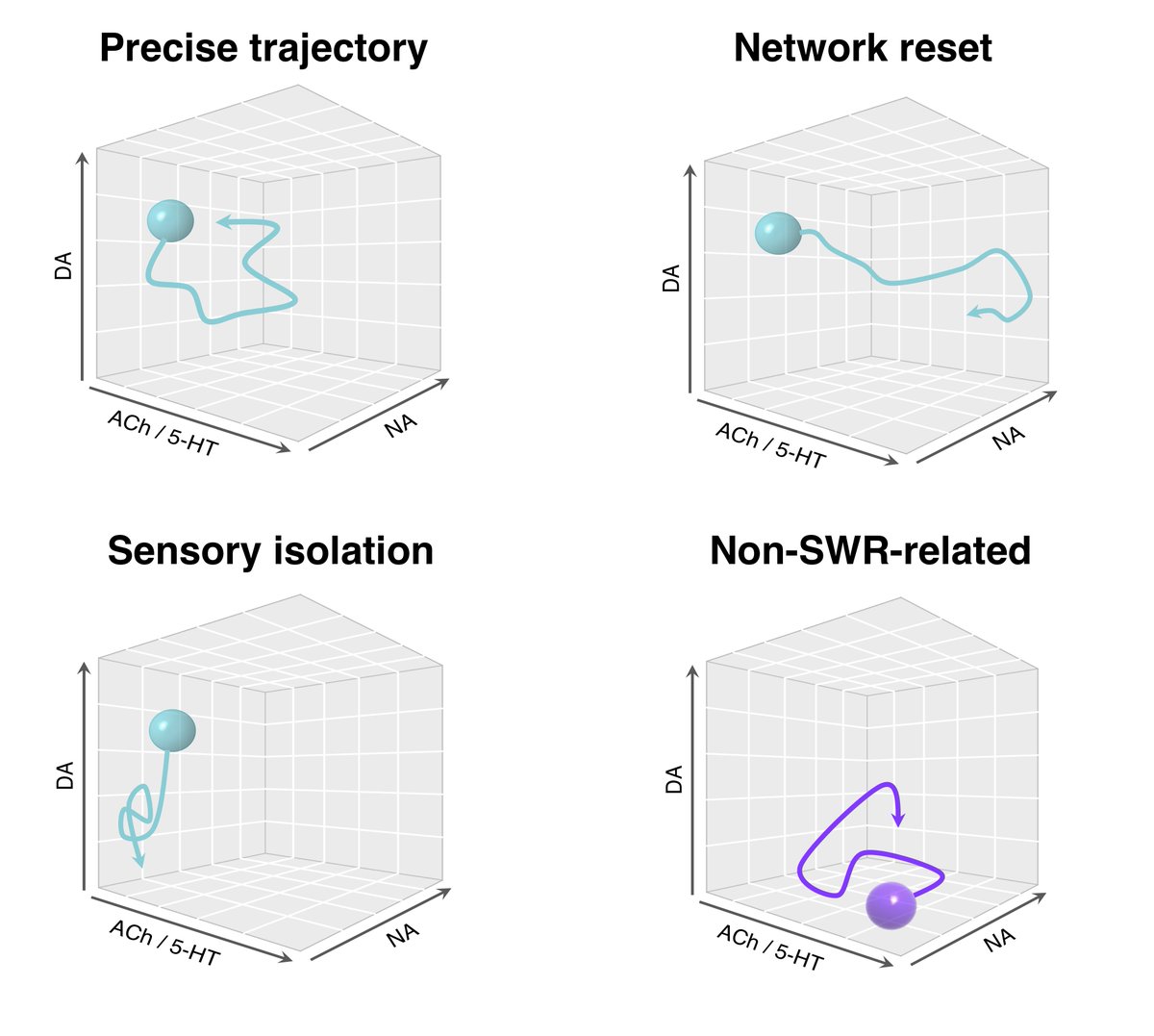 13. How (and if) an SWR-triggered mind-wandering episode evolves will further depend on the relative balance of these neuromodulatory systems and their role in constraining brain-wide dynamics in the epoch following an SWR…