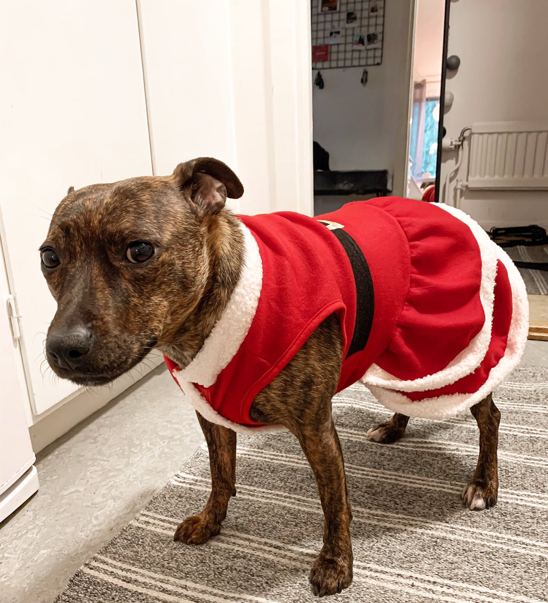 Hahaha älsklingen❤️