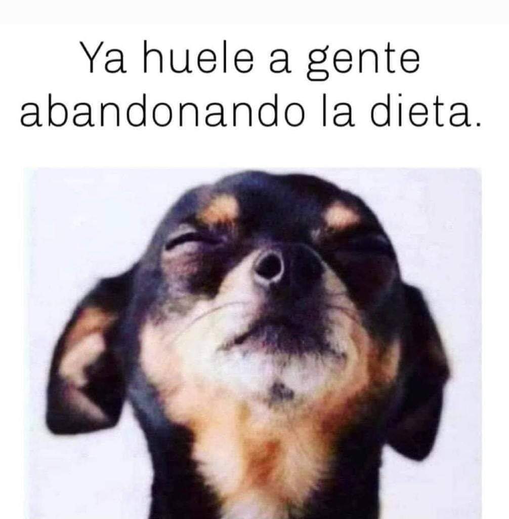lorekatari's tweet photo. UPS !!! https://t.co/G6MDK53vud