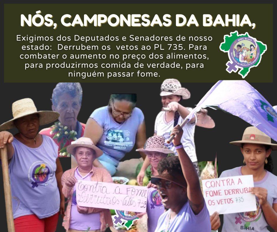 mmcnacional's tweet photo. 🔴Camponesas da Bahia em luta!
Em todo o país, o MMC segue na luta pela derrubada dos vetos ao #PL735.
📢Vamos pressionar deputados/as e senadores/as nos estados pela derrubada dos vetos.
#CongressoDerrubeVetos735
#SemVetosSemFome
#AgriculturaFamiliarProBrasilNãoPassarFome https://t.co/52i316X6yy