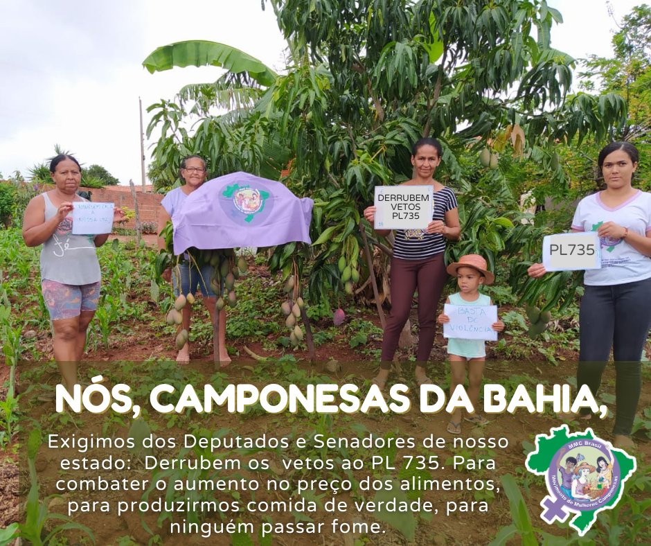 mmcnacional's tweet photo. 🔴Camponesas da Bahia em luta!
Em todo o país, o MMC segue na luta pela derrubada dos vetos ao #PL735.
📢Vamos pressionar deputados/as e senadores/as nos estados pela derrubada dos vetos.
#CongressoDerrubeVetos735
#SemVetosSemFome
#AgriculturaFamiliarProBrasilNãoPassarFome https://t.co/52i316X6yy