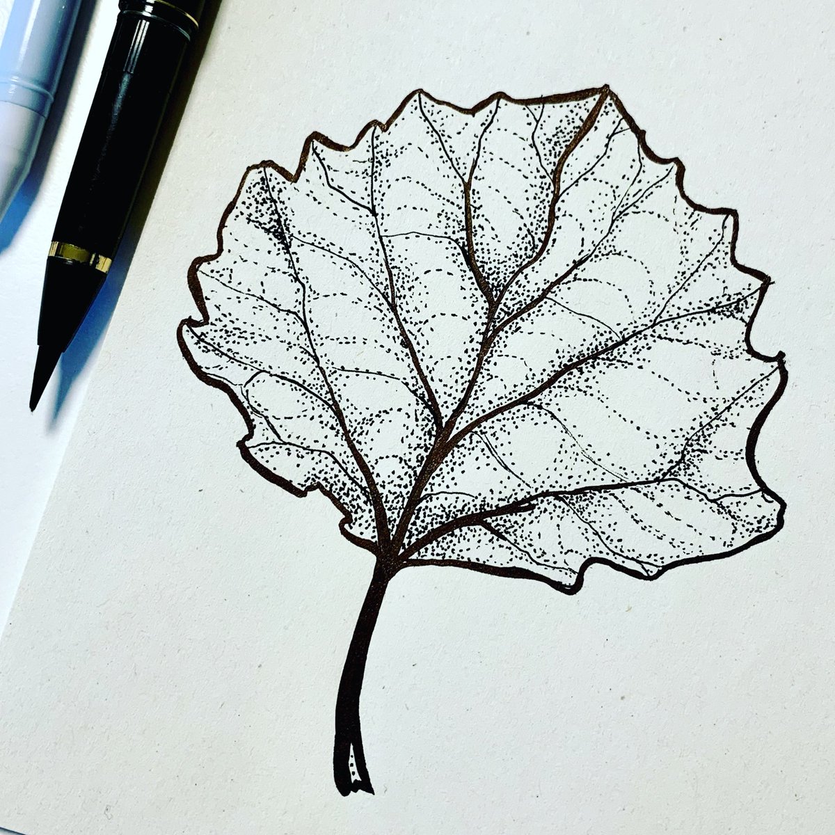 borianag's tweet photo. Drew this leaf while helping my daughter with maths

#redbubbleartists #illustration #myrbwip #leafart #inkdrawing #ink #dailysketch  #art #doodleart  #ArtistOnTwitter  #sketch https://t.co/0x47OEd1Nq