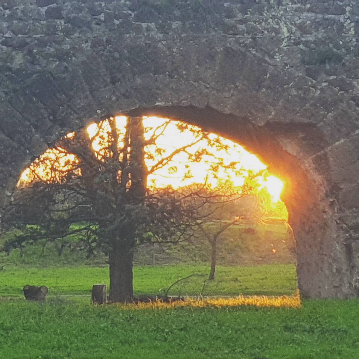 cateave's tweet photo. Incandescenze.

#parcodegliacquedotti #acquedottoromano #Tuscolano #parchidiroma #periferiaromana #periferie
#cartoline_italiane #panoramaitaliano #panoramaromano #italianpostcards #italianview #tramonto #sunset #tramontoromano
#instaroma #instarome #igersroma #Roma #Rome https://t.co/Ojv6YBx0Bo