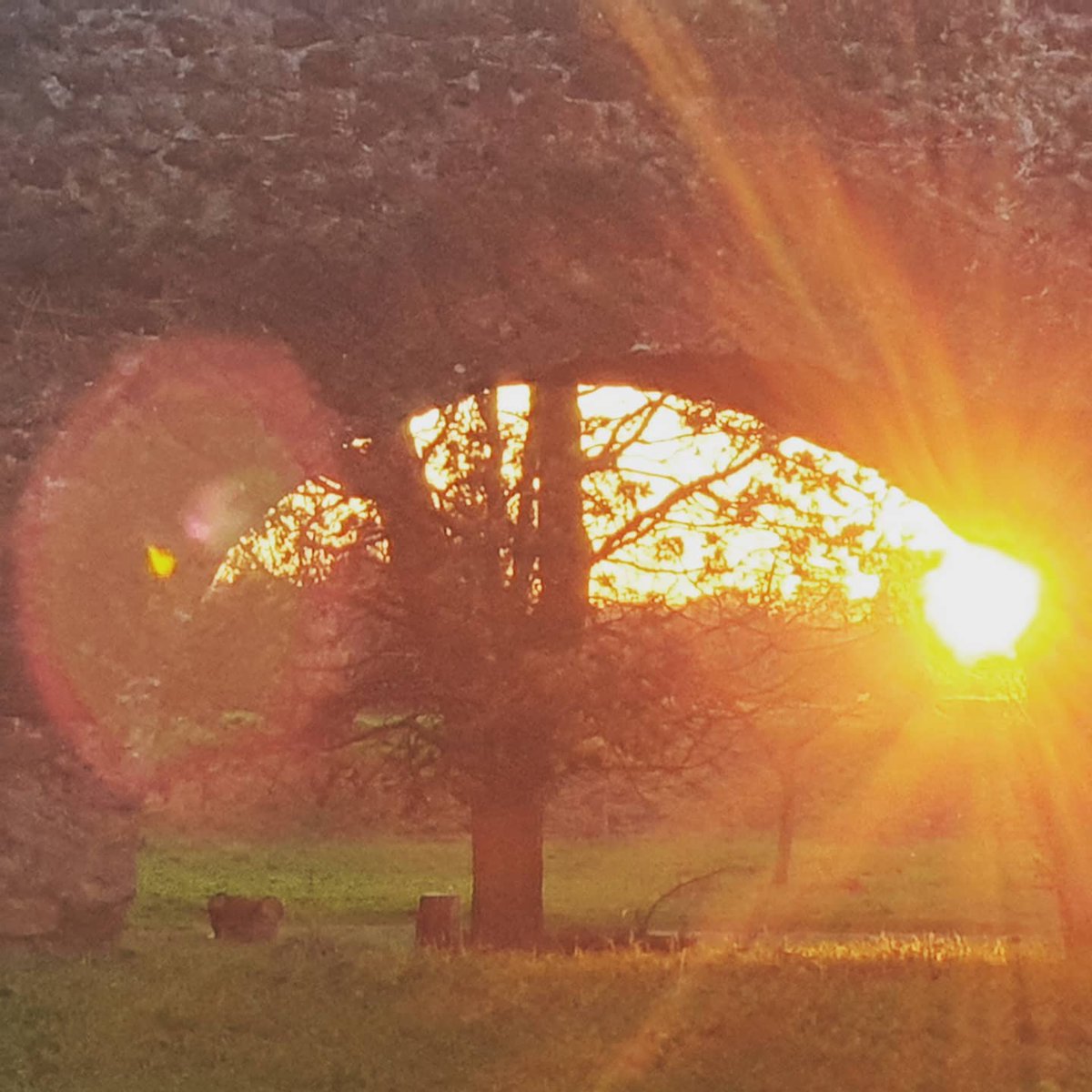 cateave's tweet photo. Incandescenze.

#parcodegliacquedotti #acquedottoromano #Tuscolano #parchidiroma #periferiaromana #periferie
#cartoline_italiane #panoramaitaliano #panoramaromano #italianpostcards #italianview #tramonto #sunset #tramontoromano
#instaroma #instarome #igersroma #Roma #Rome https://t.co/Ojv6YBx0Bo