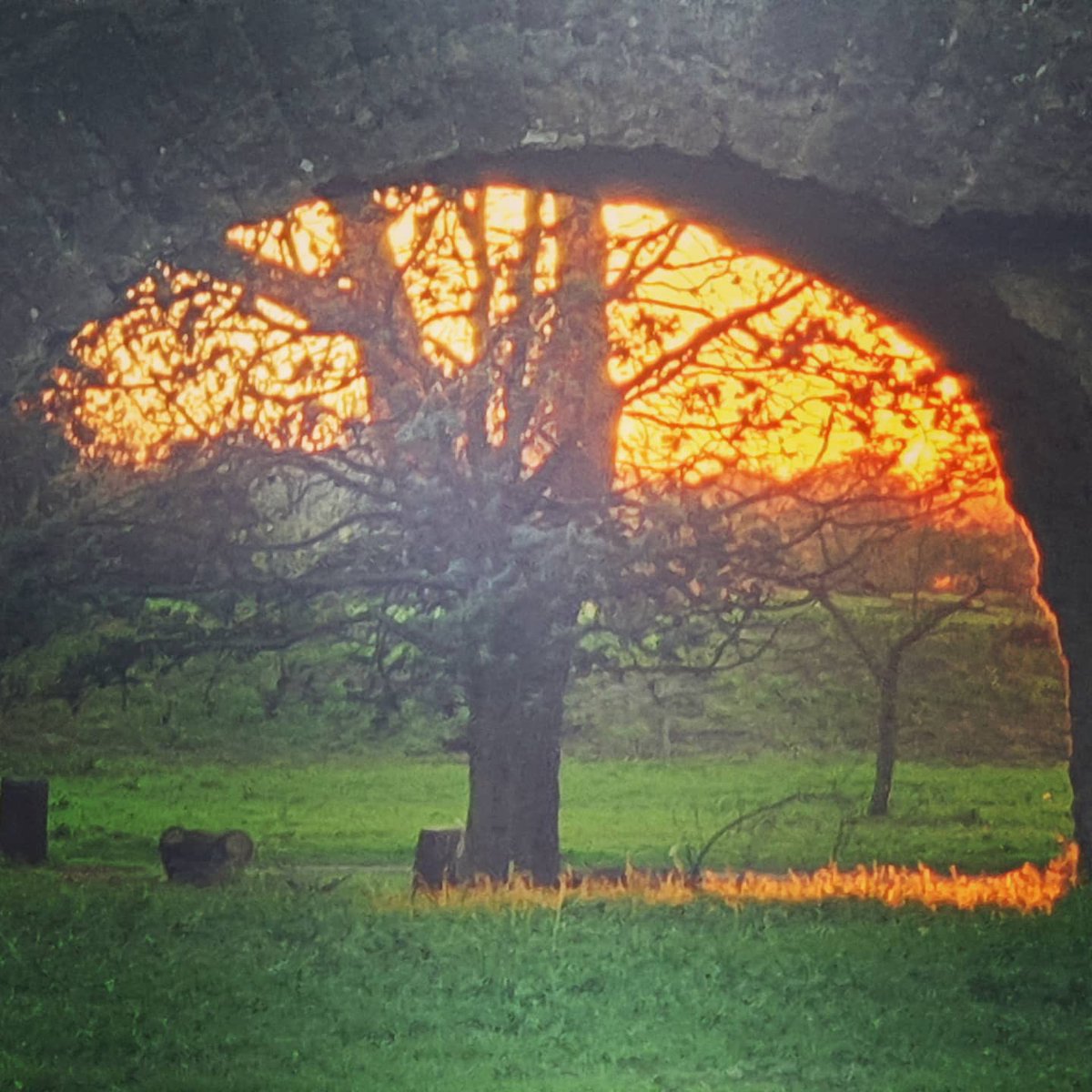 cateave's tweet photo. Incandescenze.

#parcodegliacquedotti #acquedottoromano #Tuscolano #parchidiroma #periferiaromana #periferie
#cartoline_italiane #panoramaitaliano #panoramaromano #italianpostcards #italianview #tramonto #sunset #tramontoromano
#instaroma #instarome #igersroma #Roma #Rome https://t.co/Ojv6YBx0Bo