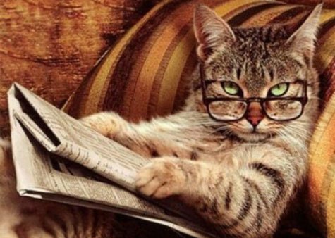 VoteAngryNow's tweet image. 