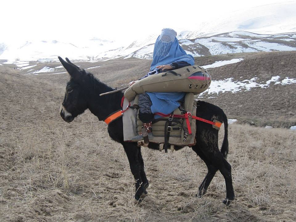 SaddleAid have been working to provide emergency saddles to remote areas since 2012, including the mountains of Afghanistan, Ethiopia, Nepal and Morocco #workingequines #donkeys #mules #donkeyambulance #InternationalMountainDay
#InternationalMountainDay2020