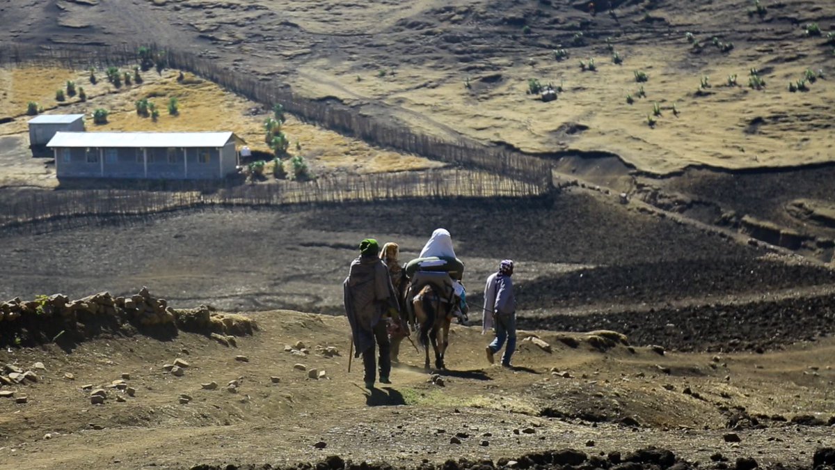 SaddleAid's tweet photo. SaddleAid have been working to provide emergency saddles to remote areas since 2012, including the mountains of Afghanistan, Ethiopia, Nepal and Morocco #workingequines #donkeys #mules #donkeyambulance #InternationalMountainDay
#InternationalMountainDay2020 https://t.co/wF1G8syZ7s