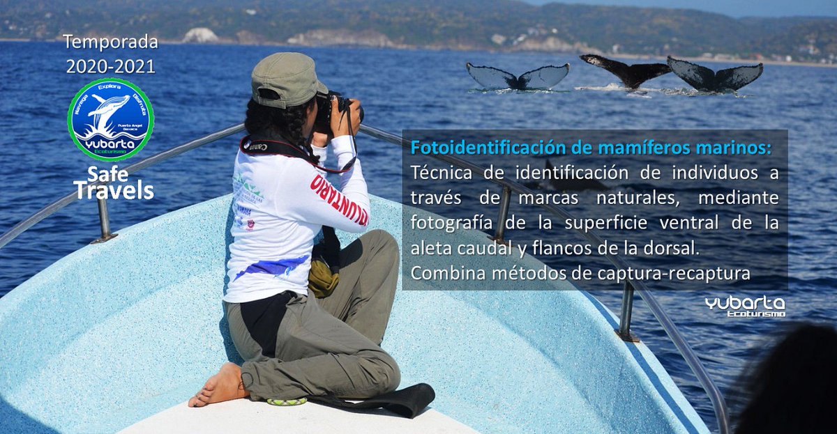 CruzAntonioGil's tweet photo. #YubartaEcoturismo #CapitalNatural #BiodiversidadMarina #TerraSC https://t.co/zYDPH91HMN