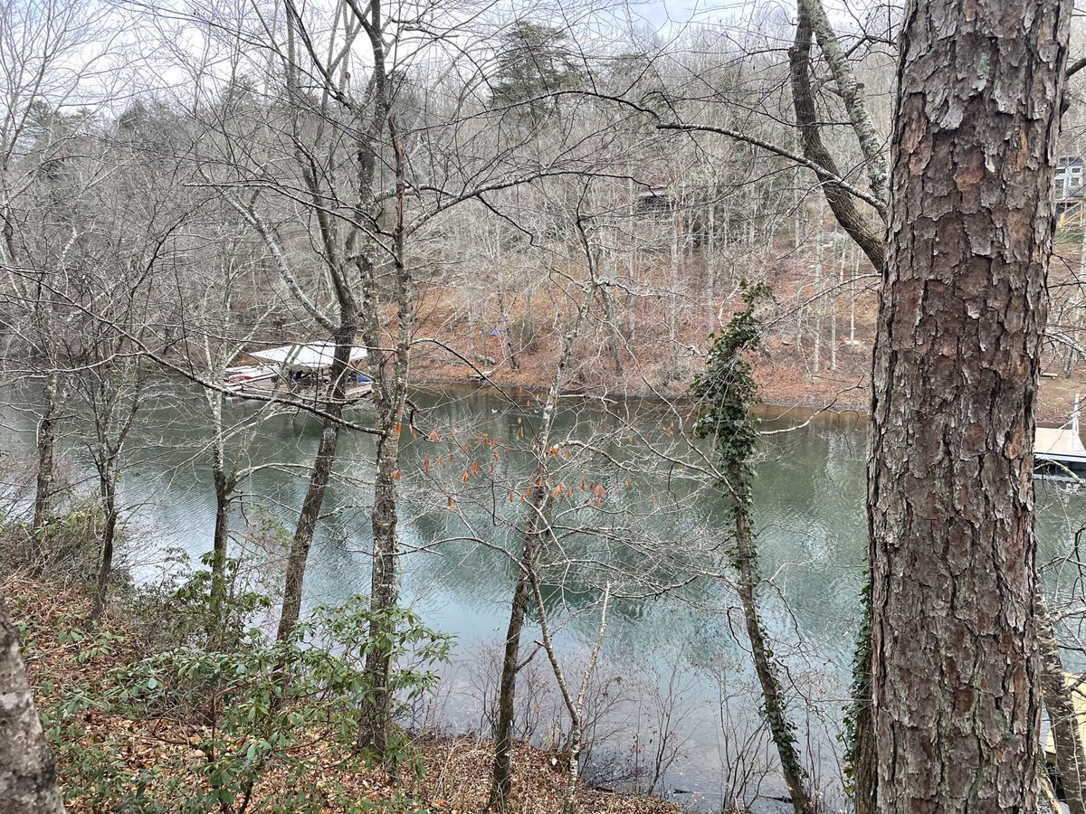 Kathy Wilson Garner (@kathyanne112) on Twitter photo 