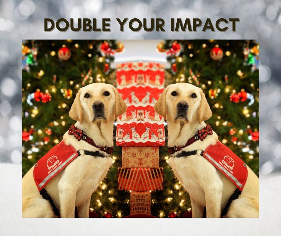 LFCDogGuides's tweet photo. Thanks to the generosity of Dr. Don and Joyce Hilton, your #donation will be doubled! A #DogGuide is truly a priceless gift of independence and with your support, we can continue to provide that gift. To donate today, visit https://t.co/4GTyXnfwGi
#holidaydonation #lfcdogguides https://t.co/N3zxs8UF7S