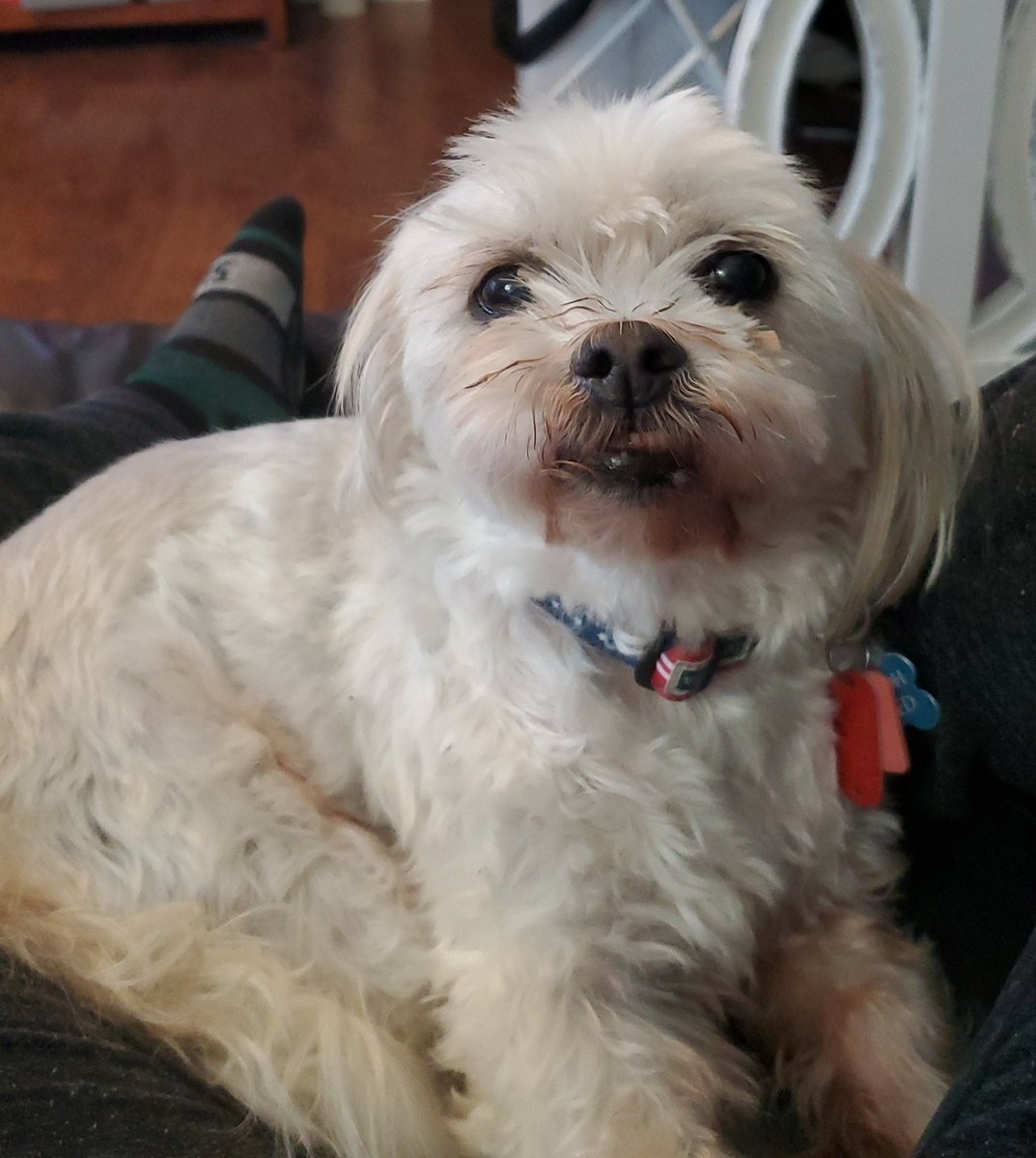 //I finally get to see my baby again 😭😭😂