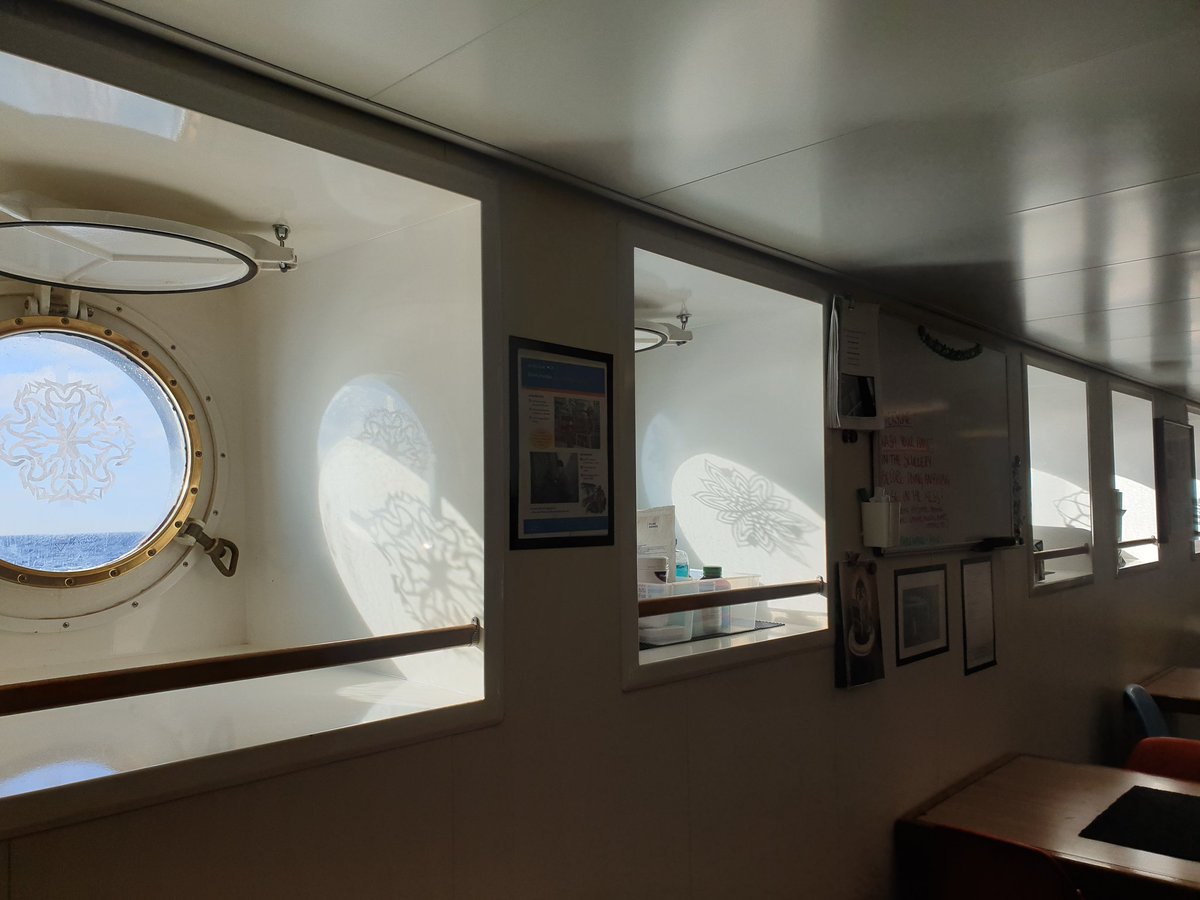 Our Christmas crafts catch the morning sun in #RVFalkor's portholes. #IceAgeGBR #ItsSummerHere 🎅❄🏖
schmidtocean.org/cruise/ice-age…
@SchmidtOcean