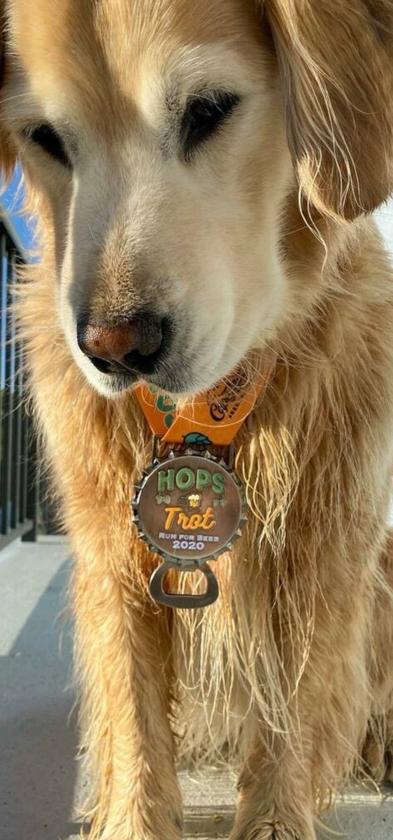 EmoHopperTDog's tweet photo. Hops on Hops. 🙁 https://t.co/Es0gku3ghb