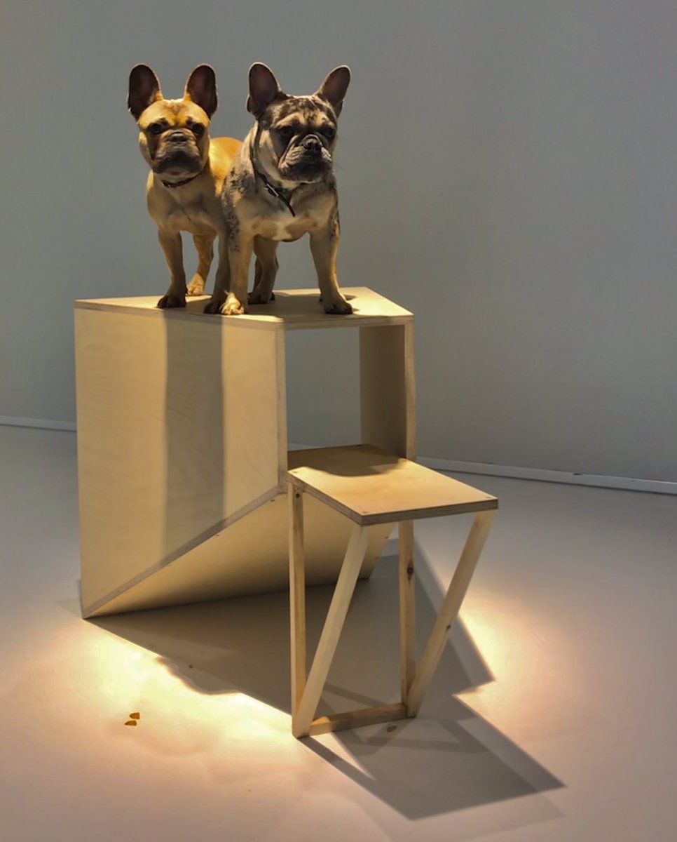 ArchieMac12's tweet image. Went to @japanhouseldn for their #architecturefordogs exhibition. Was lovely. Thanks to staff for delicious treats. #dogsoftwitter #dogsofLondon #frenchbulldogs