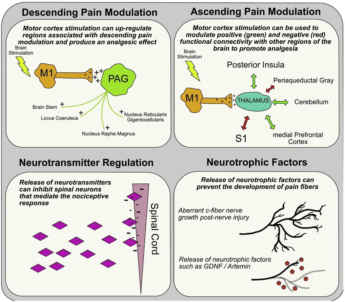 DerekGriffin86's tweet photo. How can movement reduce pain? https://t.co/a5qzmiriUm https://t.co/thYGXTmoEB