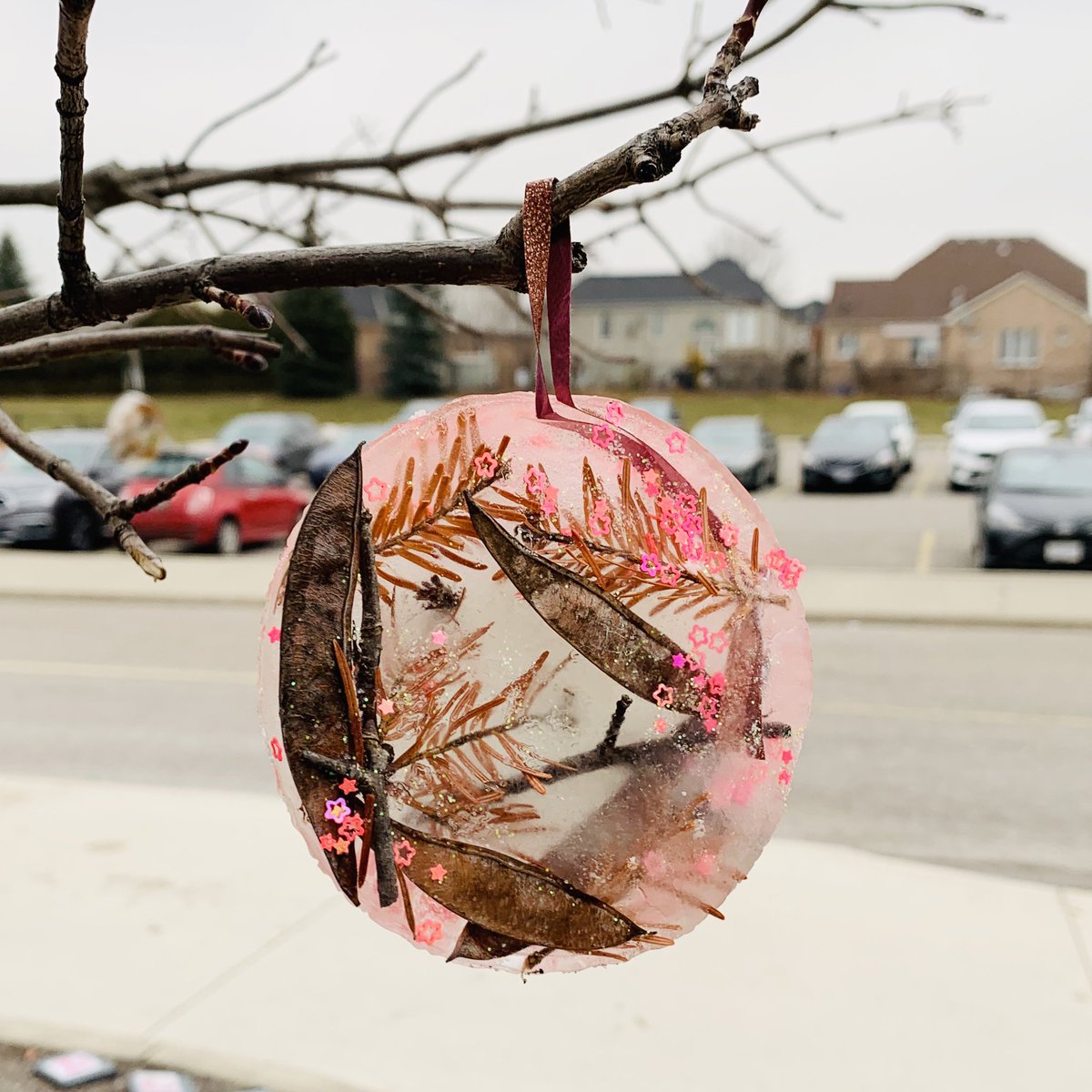 therealmsfelix's tweet photo. It’s finally cold enough to showcase our #iceornaments! Make sure to check out these beauties hanging on the tree above the #rocksofremembrance #poppystories #poppyproject @StonebridgePS @YRDSBEcoSchools @EcoSchoolsCAN @takemeoutside #winterart #iceart @YRDSBArts https://t.co/ZsYC4bzNtU