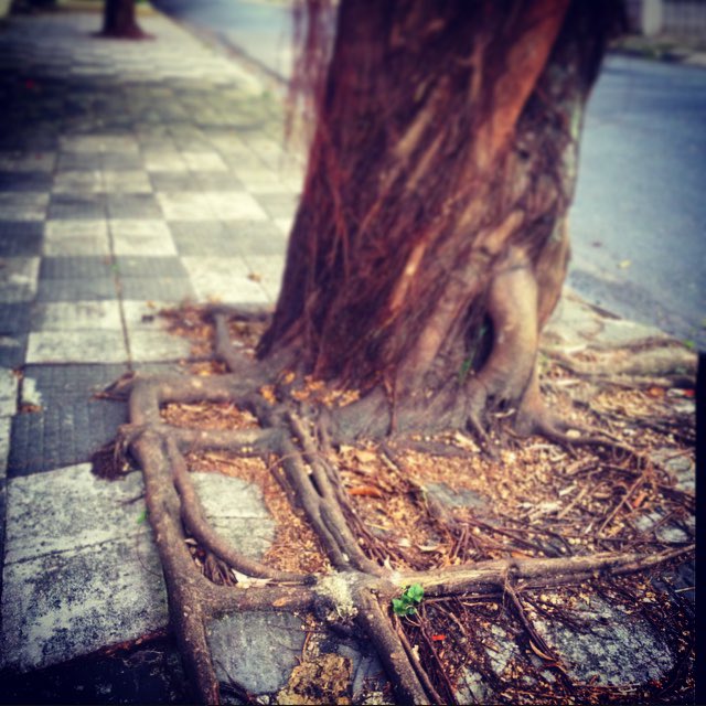 HowarrdHunt's tweet photo. @Vanahol1c √ Does it know the square root? https://t.co/tDcxHTSDMh