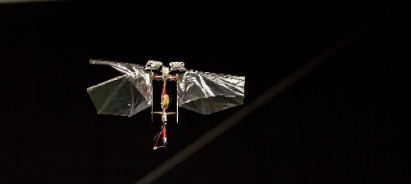 MonashInfotech's tweet photo. Congratulations to @AnimAlanDorin, @RosGleadow and J. Hanan on having their article published by the @RoyalSocBio.
A great read if you're interested in the impact that #robobees could have on our world's ecology: https://t.co/vX1MYEfDNp https://t.co/KC3z3hTTFK