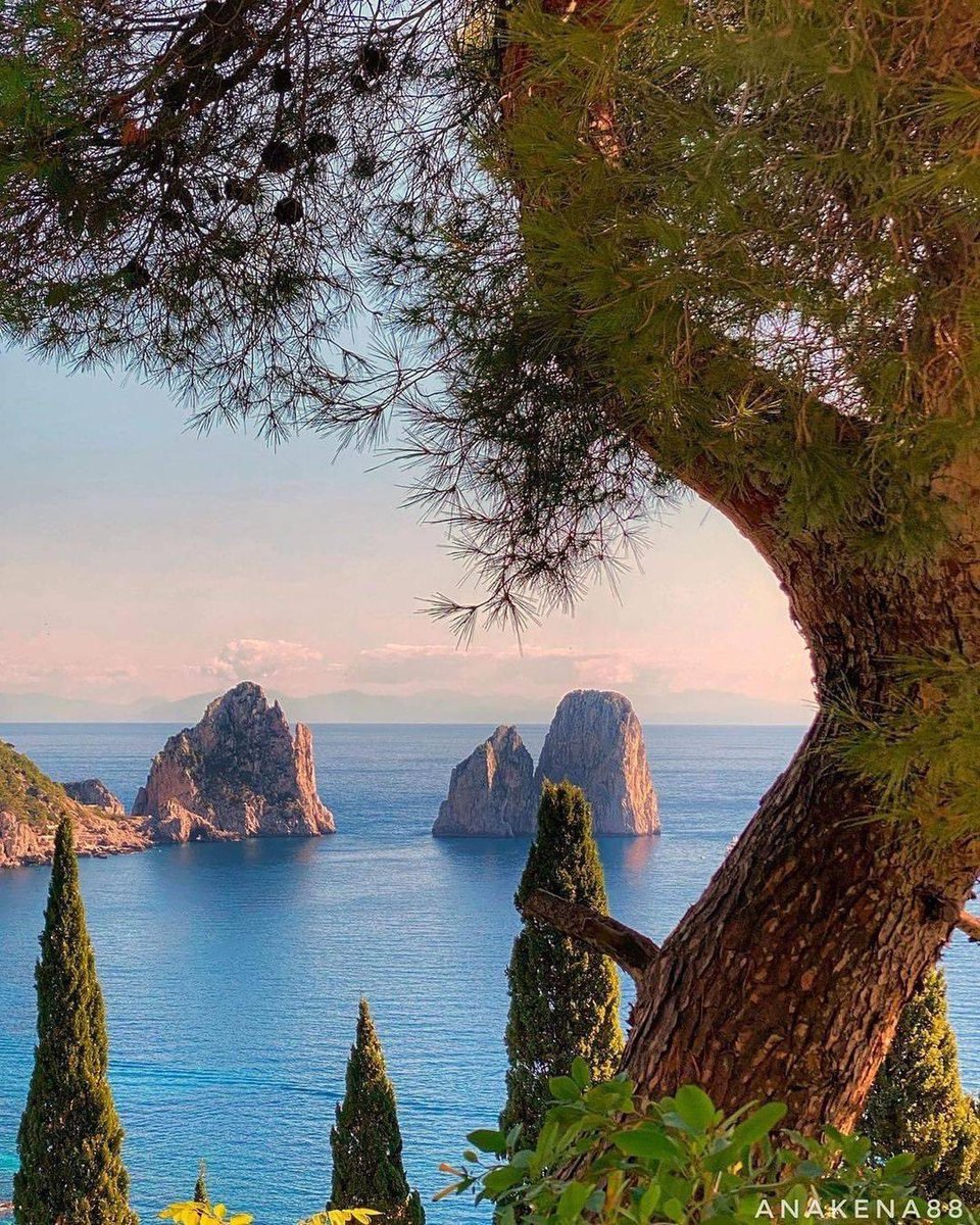 Simply perfect Capri Island  🇮🇹
#enjoy #capriisland #Capri #lightblue #best_capri #awesomeearth #islandcapri #bestplacesmagazine #italy_vacations #italiainfoto #capriitaly #ig_italy #italytrip #wonderful_places #italian_places #best_italiansites #awesome_earthpix #bestplacestogo