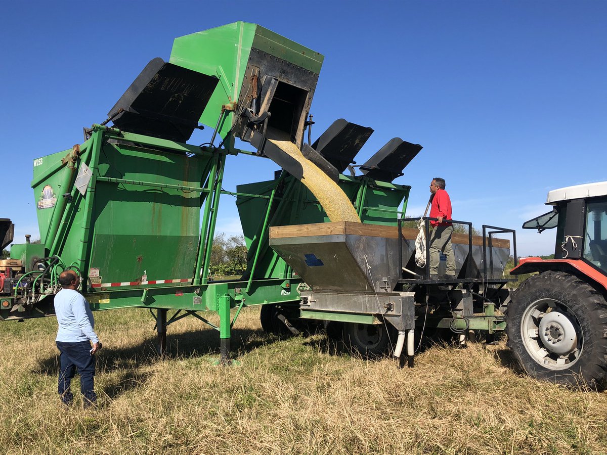 Wedgworthinc's tweet photo. Every single blend of fertilizer we deliver to our customers is custom formulated based on local Best Management Practices, the #4RNutrientStewardship principles, recent soil analysis and the crop being grown.
#GrowingThroughInnovation https://t.co/8QqJAL8Z4J