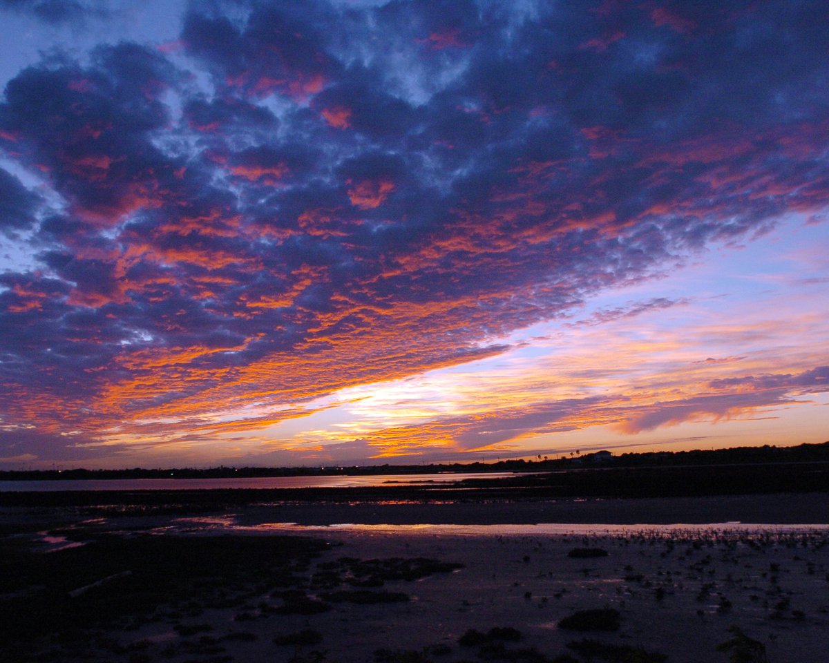Go_Islanders's tweet photo. Our sunset > Yours

#ShakasUp #TAMUCC https://t.co/Ia8eZ2LXu1