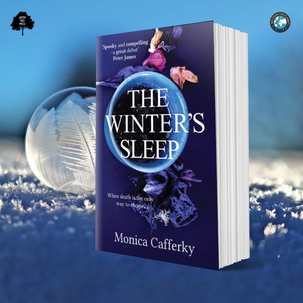 NFTPbooks's tweet photo. https://t.co/968ox5tiji
#thewinterssleep #winterssleep #monicacafferky #spooky #kindle #supportingindiepublishers #thriller #fiction #supernaturalthriller #winter #ghoststory #paranormal #ghosts #saltburn #yorkshire #adventcalendar #bookadvent #christmas #christmasgifts https://t.co/ZIDsYXxzcz