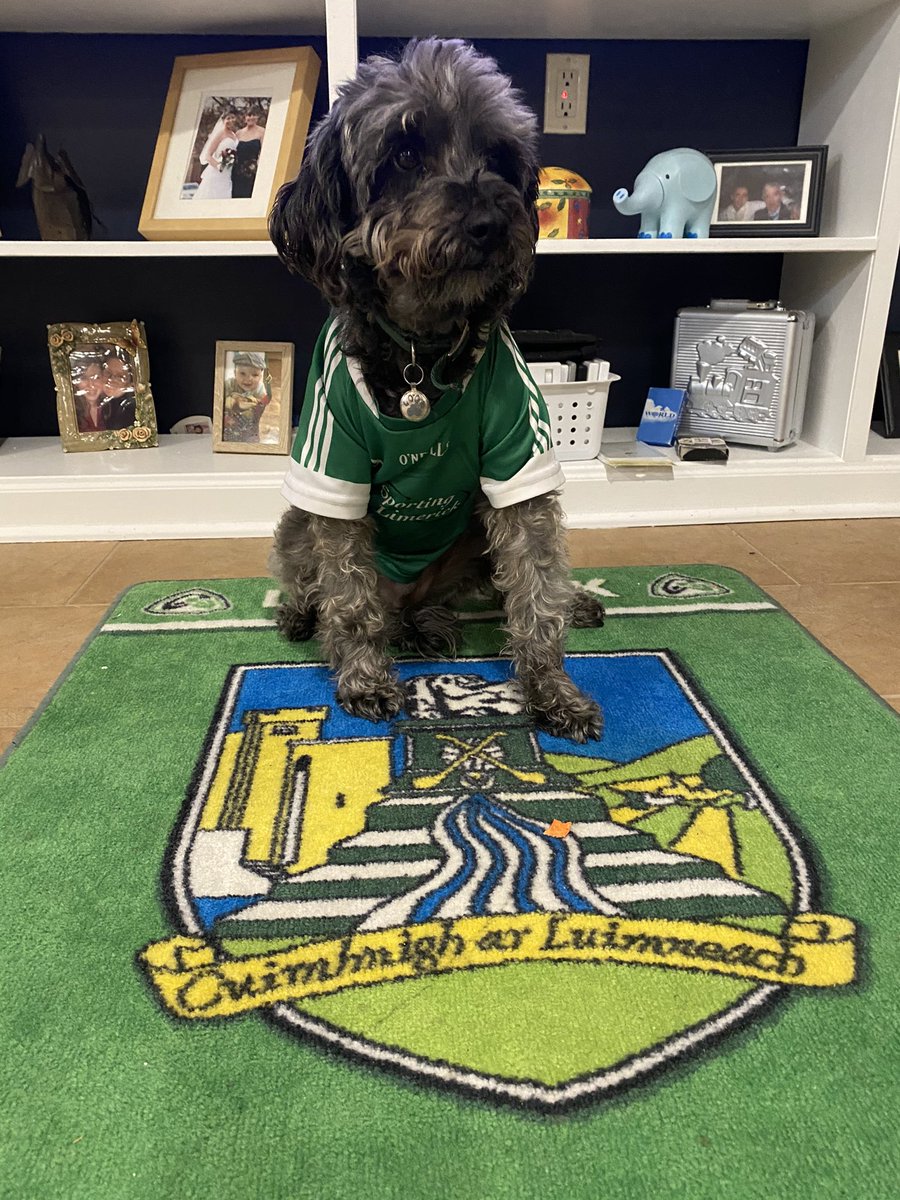 Cnoc1978's tweet photo. @pgarvey10 Hard luck yesterday!! Love your dog!! https://t.co/gEfGgcsaMQ
